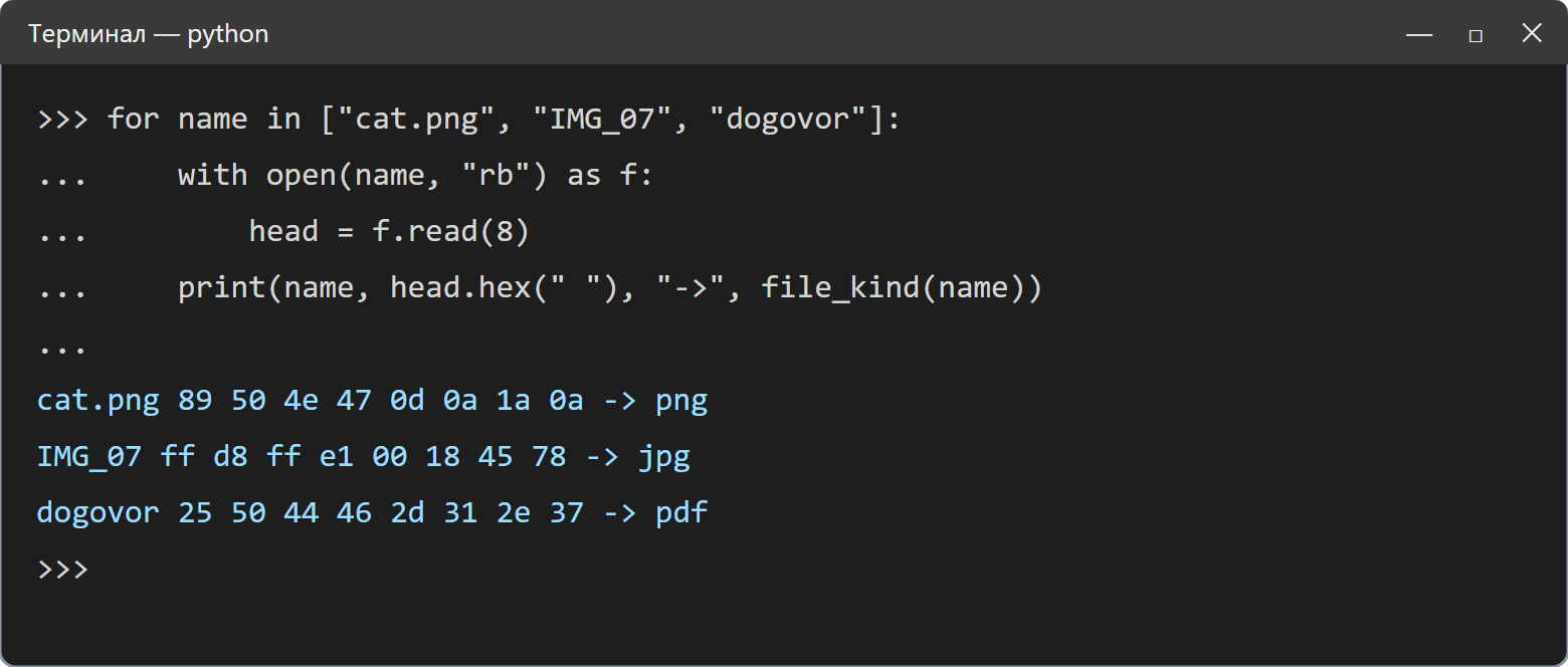 Окно терминала с Python. Введён цикл по трём файлам cat.png, IMG_07 и dogovor: каждый открывается в режиме rb, читаются первые 8 байт, печатаются имя, байты в hex и результат file_kind. Вывод: cat.png 89 50 4e 47 0d 0a 1a 0a -> png; IMG_07 ff d8 ff e1 00 18 45 78 -> jpg; dogovor 25 50 44 46 2d 31 2e 37 -> pdf.