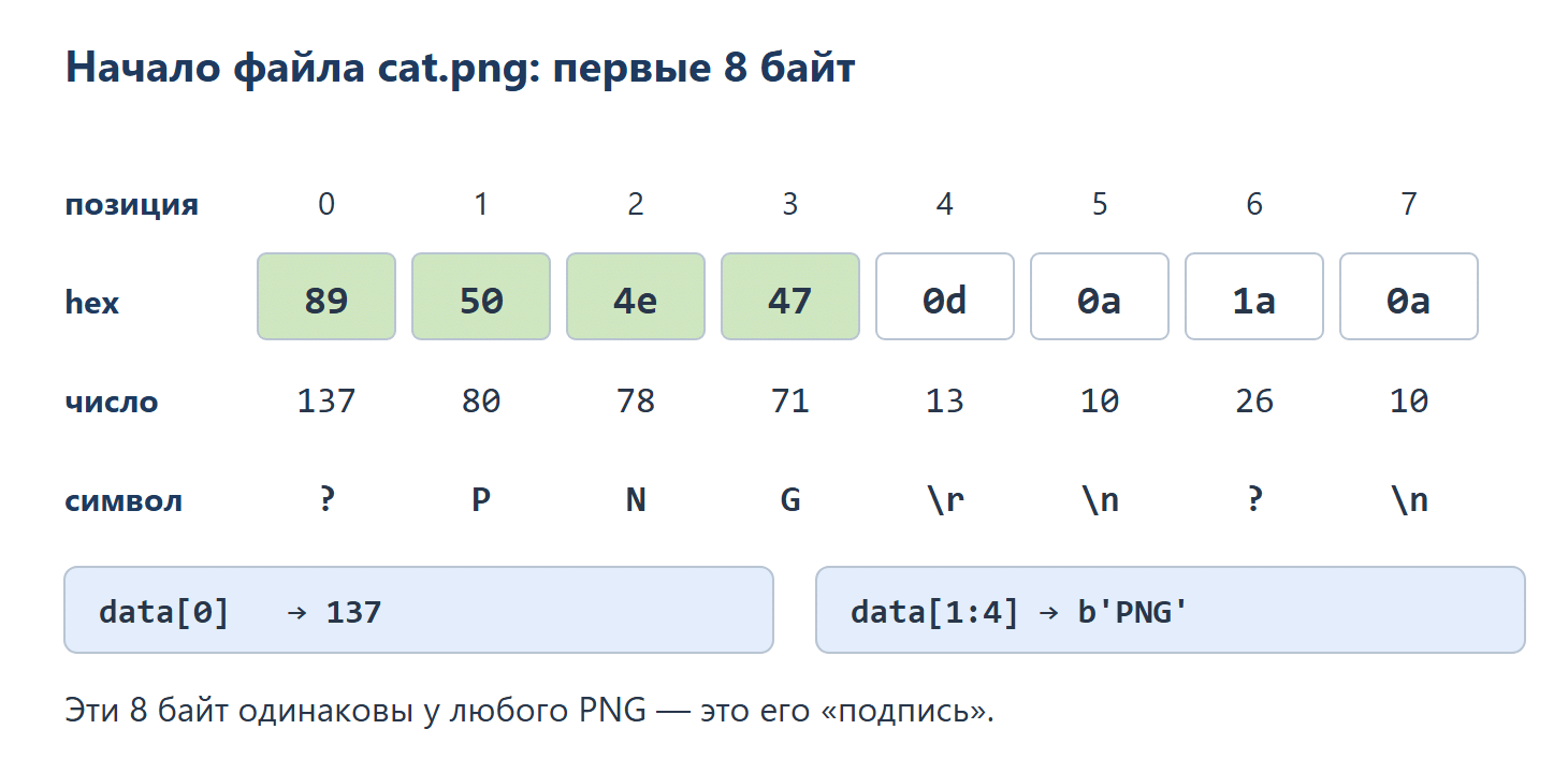 Первые 8 байт файла cat.png в виде таблицы. Позиции от 0 до 7. Байты в hex: 89 50 4e 47 0d 0a 1a 0a, первые четыре выделены. Те же байты числами: 137, 80, 78, 71, 13, 10, 26, 10. Символы: ?, P, N, G, \r, \n, ?, \n. Ниже: data[0] даёт 137, data[1:4] даёт b'PNG'. Подпись: эти 8 байт одинаковы у любого PNG.