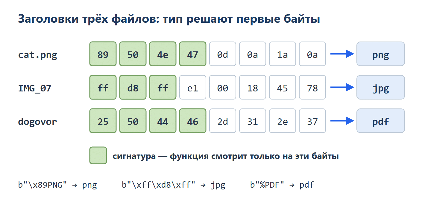 Первые 8 байт трёх файлов в hex. cat.png: 89 50 4e 47 0d 0a 1a 0a, выделены первые четыре байта, итог png. IMG_07: ff d8 ff e1 00 18 45 78, выделены первые три, итог jpg. dogovor: 25 50 44 46 2d 31 2e 37 (это текст %PDF-1.7), выделены первые четыре, итог pdf. Выделенные байты — сигнатура, функция смотрит только на них. Внизу словарь: b"\x89PNG" — png, b"\xff\xd8\xff" — jpg, b"%PDF" — pdf.