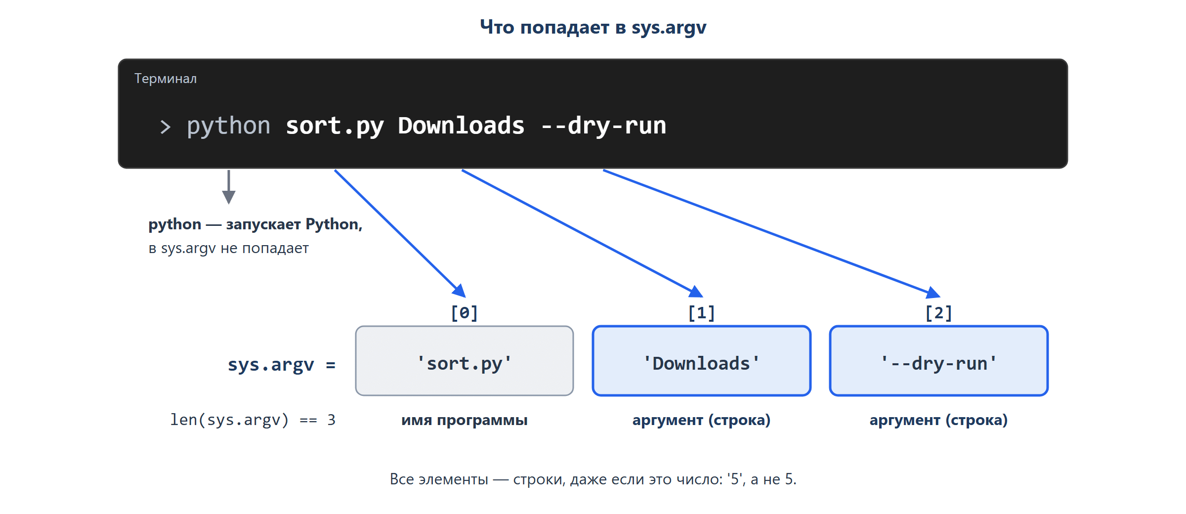 Сверху строка терминала: python sort.py Downloads --dry-run. Слово python подписано «запускает интерпретатор, в список не попадает». Под остальными тремя словами — три ячейки списка sys.argv с номерами: [0] 'sort.py', [1] 'Downloads', [2] '--dry-run'. От каждого слова стрелка вниз в свою ячейку. Под ячейкой [0] подпись «имя программы», под [1] и [2] — «аргументы, всегда строки».